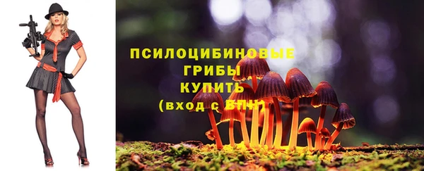 гашиш Бородино