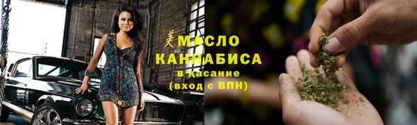 гашик Верея