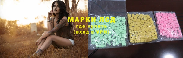 прущие грибы Бугульма