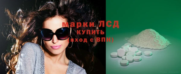 гашик Верея