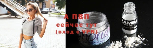 гашик Верея