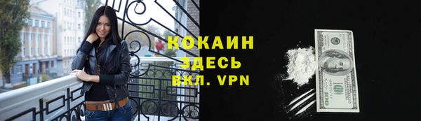 прущие грибы Бугульма