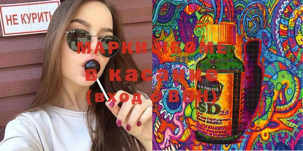 прущие грибы Бугульма