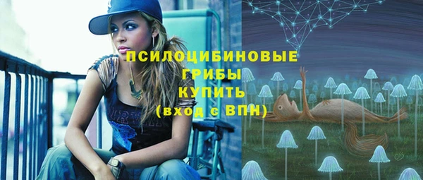 гашиш Бородино