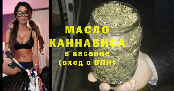 гашик Верея