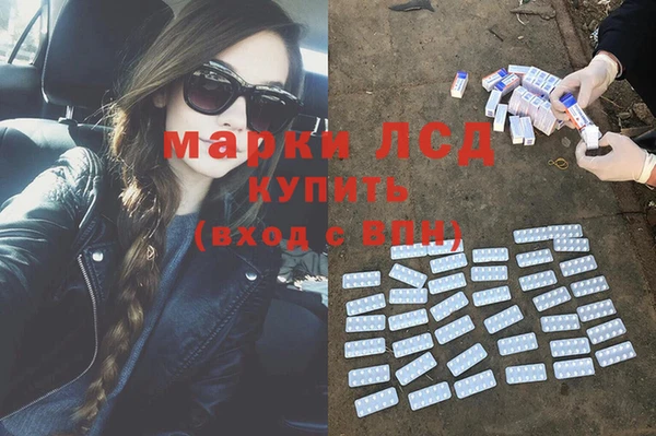 прущие грибы Бугульма