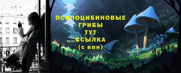 прущие грибы Бугульма