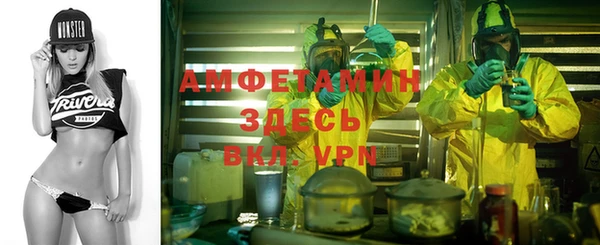 прущие грибы Бугульма