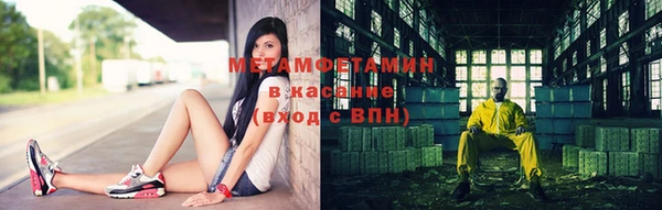 прущие грибы Бугульма