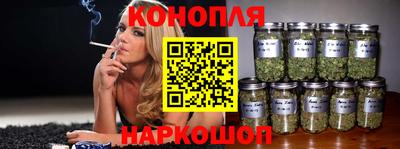 mdpv Камышлов