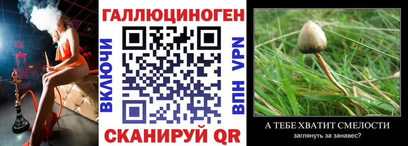 наркотики  Муром  Псилоцибиновые грибы мицелий 