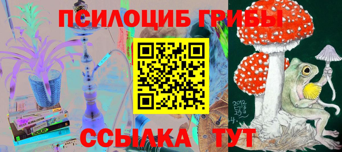 Псилоцибиновые грибы мухоморы Муром