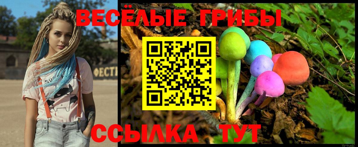 Галлюциногенные грибы прущие грибы  Вход с VPN  Псилоцибиновые грибы ЛСД  Муром 